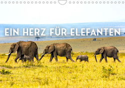 Ein Herz für Elefanten (Wandkalender 2023 DIN A4 quer) von SF