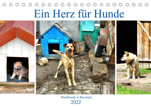 Ein Herz für Hunde – Kettenhunde in Russland (Tischkalender 2022 DIN A5 quer) von von Loewis of Menar,  Henning