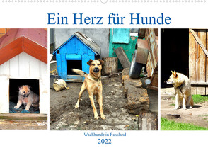 Ein Herz für Hunde – Kettenhunde in Russland (Wandkalender 2022 DIN A2 quer) von von Loewis of Menar,  Henning