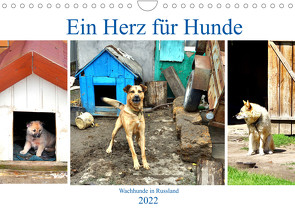 Ein Herz für Hunde – Kettenhunde in Russland (Wandkalender 2022 DIN A4 quer) von von Loewis of Menar,  Henning