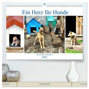 Ein Herz für Hunde – Wachhunde in Russland (hochwertiger Premium Wandkalender 2024 DIN A2 quer), Kunstdruck in Hochglanz von von Loewis of Menar,  Henning