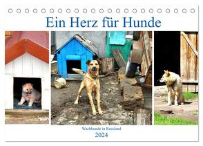 Ein Herz für Hunde – Wachhunde in Russland (Tischkalender 2024 DIN A5 quer), CALVENDO Monatskalender von von Loewis of Menar,  Henning