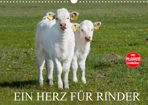 Ein Herz für Rinder (Wandkalender 2022 DIN A3 quer) von Starick,  Sigrid