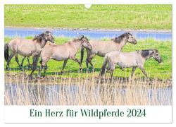 Ein Herz für Wildpferde (Wandkalender 2024 DIN A3 quer), CALVENDO Monatskalender von Plett,  Rainer
