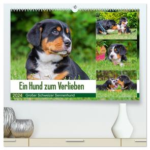Ein Hund zum Verlieben – Großer Schweizer Sennenhund (hochwertiger Premium Wandkalender 2024 DIN A2 quer), Kunstdruck in Hochglanz