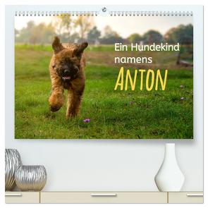 Ein Hundekind namens Anton (hochwertiger Premium Wandkalender 2024 DIN A2 quer), Kunstdruck in Hochglanz von calmbacher,  Christiane