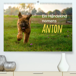 Ein Hundekind namens Anton (Premium, hochwertiger DIN A2 Wandkalender 2023, Kunstdruck in Hochglanz) von calmbacher,  Christiane