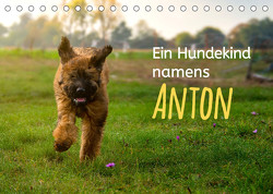 Ein Hundekind namens Anton (Tischkalender 2023 DIN A5 quer) von calmbacher,  Christiane
