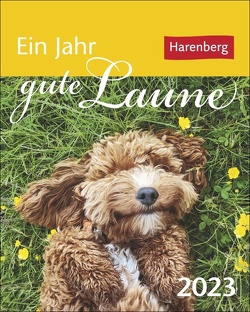 Ein Jahr gute Laune Mini-Geschenkkalender 2023. Kleiner Kalender für jeden Tag Schmunzeln, mit 365 Zitaten zum Lachen. Aufstellkalender 2023 für die tägliche Portion Spaß. von Braukmüller,  Beatrix, Harenberg