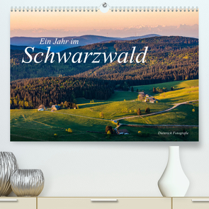 Ein Jahr im Schwarzwald (Premium, hochwertiger DIN A2 Wandkalender 2023, Kunstdruck in Hochglanz) von Dieterich,  Werner