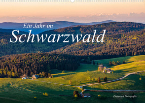 Ein Jahr im Schwarzwald (Wandkalender 2022 DIN A2 quer) von Dieterich,  Werner