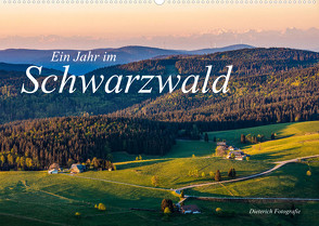 Ein Jahr im Schwarzwald (Wandkalender 2023 DIN A2 quer) von Dieterich,  Werner