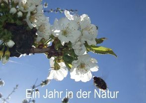 Ein Jahr in der Natur (Posterbuch DIN A3 quer) von Schagow,  Veit