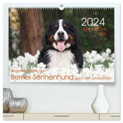 Ein Jahr mit BÄR. Begleiten Sie Bär, den Berner Sennenhund, durch die Jahreszeiten. (hochwertiger Premium Wandkalender 2024 DIN A2 quer), Kunstdruck in Hochglanz von Brenner,  Sonja