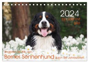 Ein Jahr mit BÄR. Begleiten Sie Bär, den Berner Sennenhund, durch die Jahreszeiten. (Tischkalender 2024 DIN A5 quer), CALVENDO Monatskalender von Brenner,  Sonja