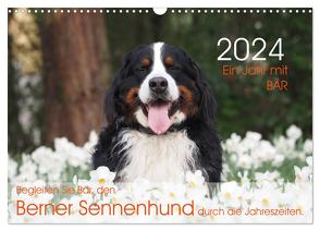 Ein Jahr mit BÄR. Begleiten Sie Bär, den Berner Sennenhund, durch die Jahreszeiten. (Wandkalender 2024 DIN A3 quer), CALVENDO Monatskalender von Brenner,  Sonja