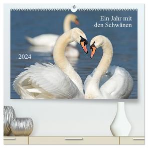 Ein Jahr mit den Schwänen (hochwertiger Premium Wandkalender 2024 DIN A2 quer), Kunstdruck in Hochglanz von T. Frank,  Roland