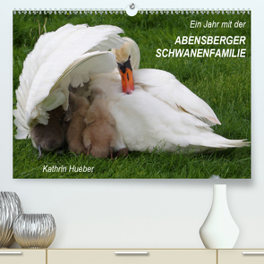 Ein Jahr mit der Abensberger Schwanenfamilie (Premium, hochwertiger DIN A2 Wandkalender 2021, Kunstdruck in Hochglanz) von Hueber,  Kathrin