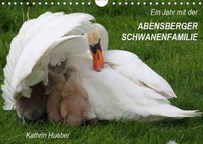 Ein Jahr mit der Abensberger Schwanenfamilie (Wandkalender 2019 DIN A4 quer) von Hueber,  Kathrin