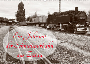 Ein Jahr mit der Schmalspurbahn aus Zittau (Wandkalender 2023 DIN A2 quer) von Valley,  Joy