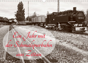 Ein Jahr mit der Schmalspurbahn aus Zittau (Wandkalender 2023 DIN A3 quer) von Valley,  Joy