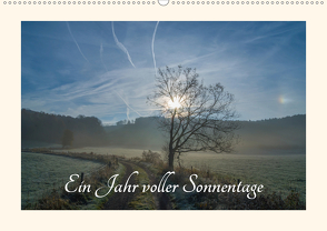 Ein Jahr voller Sonnentage (Wandkalender 2020 DIN A2 quer) von Martin Sczyrba,  Dr.