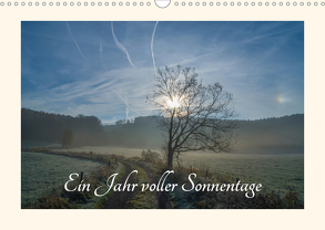 Ein Jahr voller Sonnentage (Wandkalender 2020 DIN A3 quer) von Martin Sczyrba,  Dr.