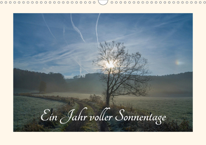 Ein Jahr voller Sonnentage (Wandkalender 2021 DIN A3 quer) von Martin Sczyrba,  Dr.