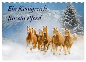 Ein Königreich für ein Pferd (Wandkalender 2024 DIN A2 quer), CALVENDO Monatskalender von Starick,  Sigrid