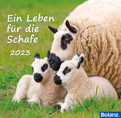 Ein Leben für die Schafe 2023