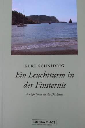 Ein Leuchtturm in der Finsternis von Schnidrig,  Kurt