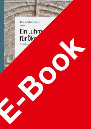 Ein Luhmann-Leitfaden für Ökonomen von Schönfelder,  Bruno