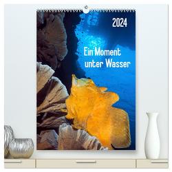Ein Moment unter Wasser (hochwertiger Premium Wandkalender 2024 DIN A2 hoch), Kunstdruck in Hochglanz von Jager,  Henry
