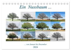 Ein Nussbaum von Januar bis Dezember (Tischkalender 2024 DIN A5 quer), CALVENDO Monatskalender von Eppele,  Klaus