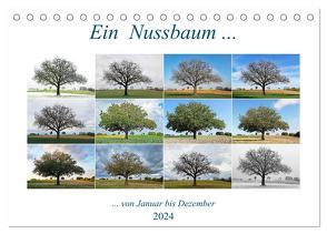 Ein Nussbaum von Januar bis Dezember (Tischkalender 2024 DIN A5 quer), CALVENDO Monatskalender von Eppele,  Klaus