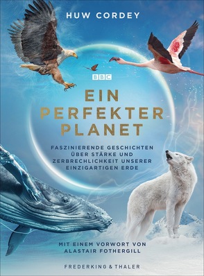 Ein perfekter Planet von Cordey,  Huw