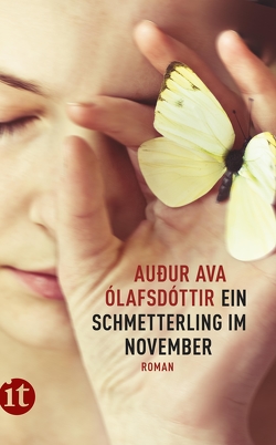 Ein Schmetterling im November von Leskopf,  Sabine, Ólafsdóttir,  Auður Ava