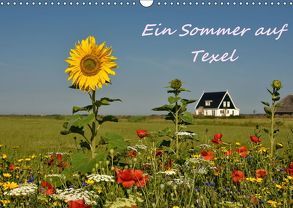 Ein Sommer auf Texel (Wandkalender 2019 DIN A3 quer) von Hackstein,  Bettina