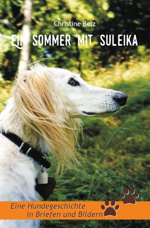 Ein Sommer mit Suleika von Belz,  Christine