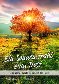 Ein Sonnenstrahl zum Trost von Busch,  Klaudia