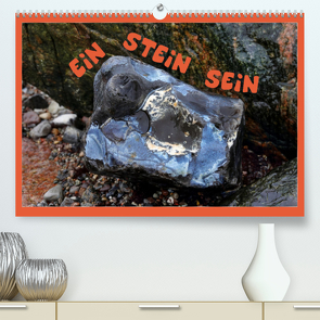 EIN STEIN SEIN (Premium, hochwertiger DIN A2 Wandkalender 2023, Kunstdruck in Hochglanz) von Sachse,  Kathrin