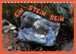 EIN STEIN SEIN (Tischkalender 2023 DIN A5 quer) von Sachse,  Kathrin