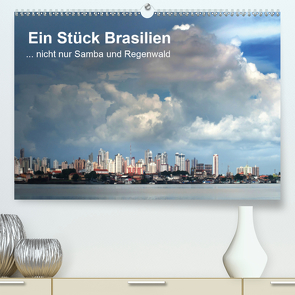 Ein Stück Brasilien (Premium, hochwertiger DIN A2 Wandkalender 2021, Kunstdruck in Hochglanz) von calmbacher,  Christiane