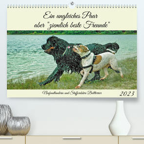 Ein ungleiches Paar aber „ziemlich beste Freunde“ (Premium, hochwertiger DIN A2 Wandkalender 2023, Kunstdruck in Hochglanz) von Kleemann,  Claudia