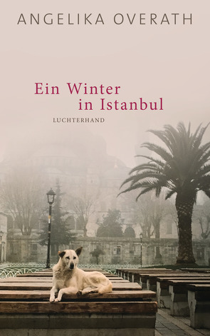 Ein Winter in Istanbul von Overath,  Angelika