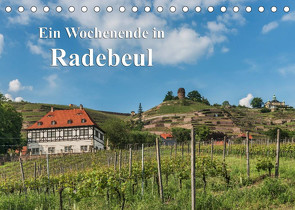 Ein Wochenende in Radebeul / CH-Version (Tischkalender 2022 DIN A5 quer) von Kirsch,  Gunter