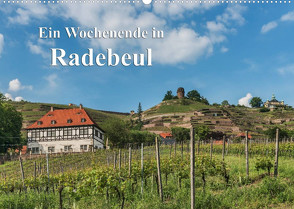 Ein Wochenende in Radebeul (Wandkalender 2023 DIN A2 quer) von Kirsch,  Gunter