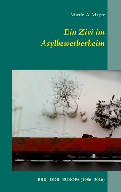 Ein Zivi im Asylbewerberheim von Mayer,  Martin A.