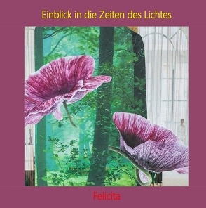 Einblick in die Zeiten des Lichtes von Felicita,  *