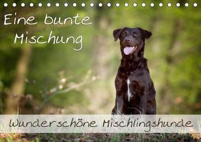 Eine bunte Mischung – wunderschöne Mischlingshunde / Geburtstagskalender (Tischkalender 2019 DIN A5 quer) von Noack,  Nicole